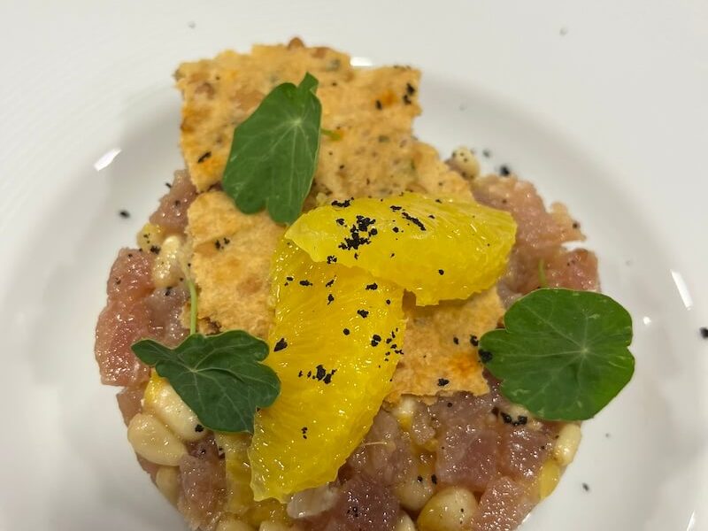 2point-trogir-tuna-tartar